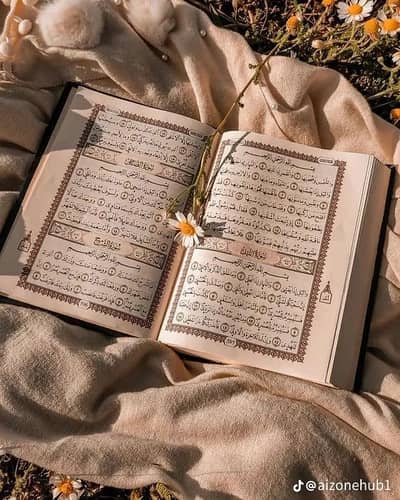 Online quran only female