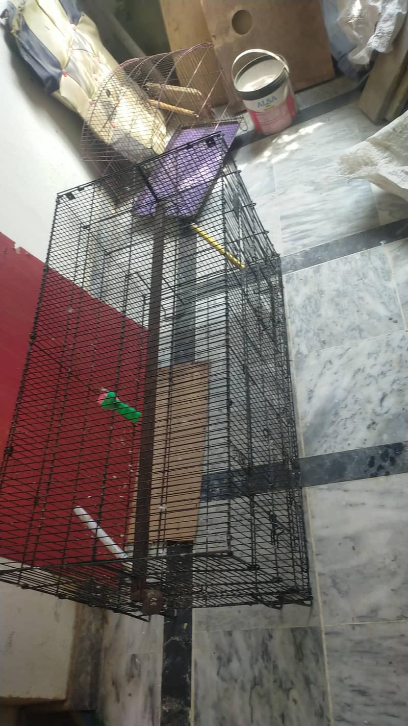 Parrots cage 0