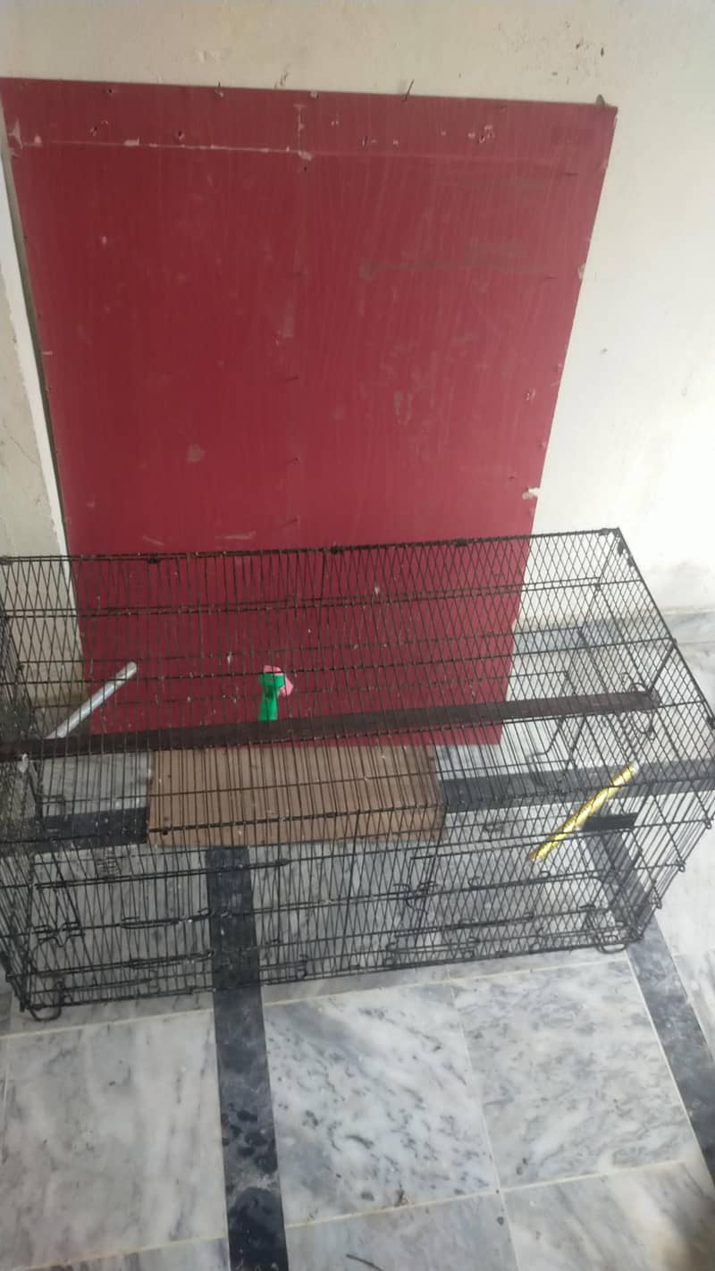 Parrots cage 1