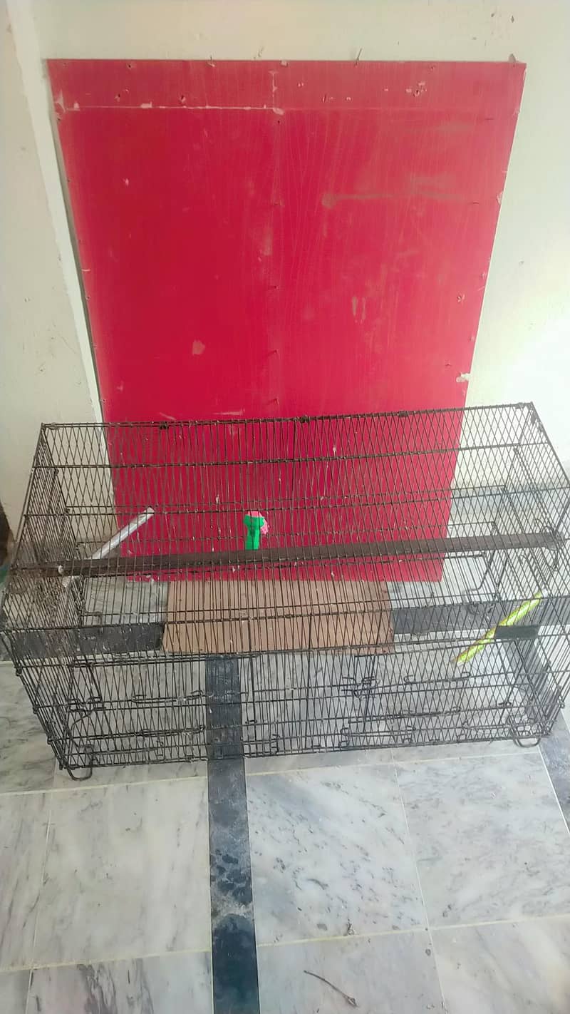 Parrots cage 3