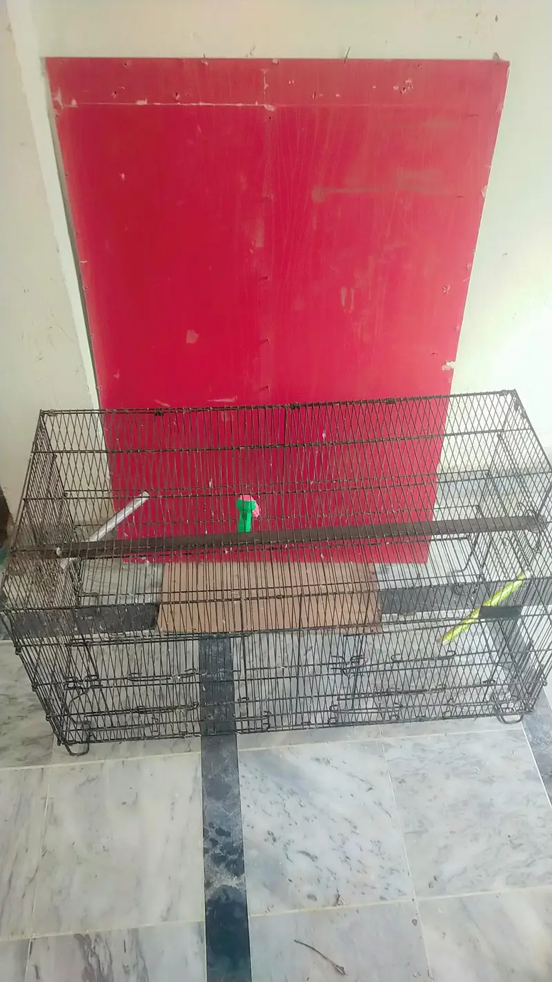 Parrots cage — photo 4