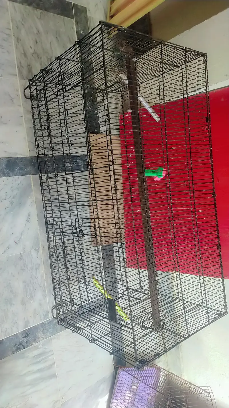 Parrots cage — photo 5