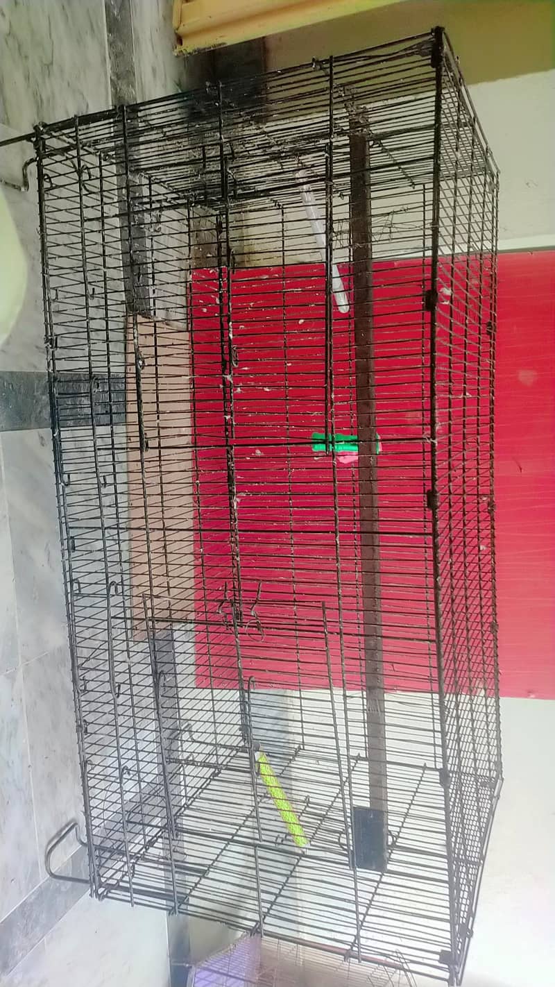 Parrots cage 5