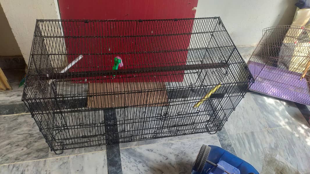 Parrots cage 6