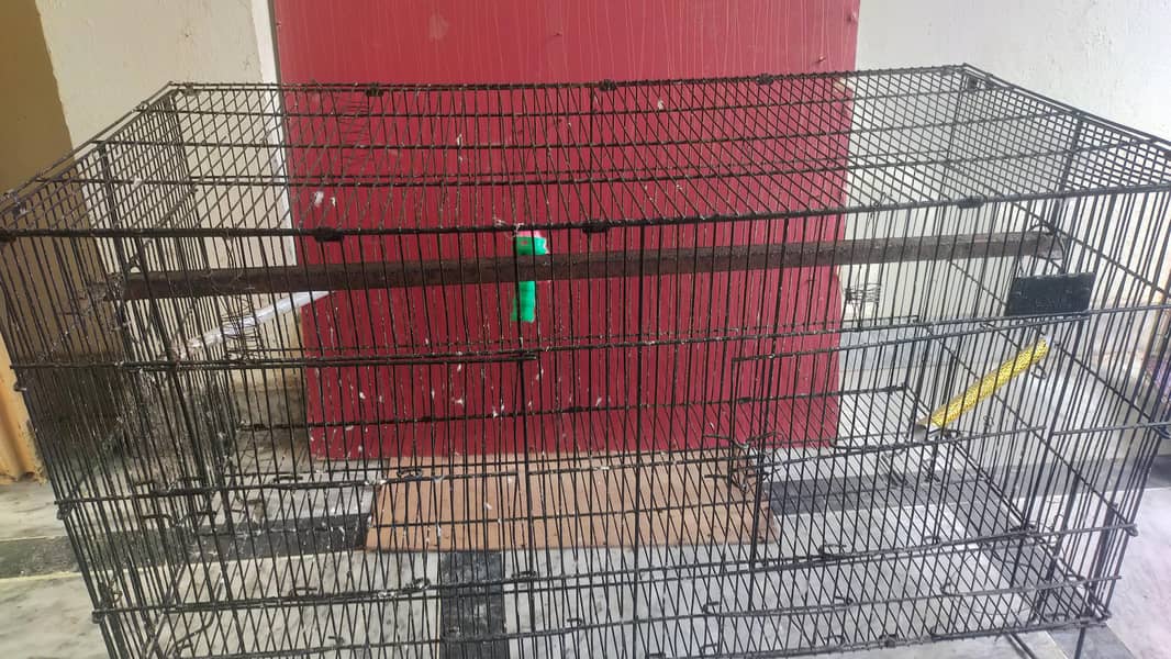 Parrots cage 8