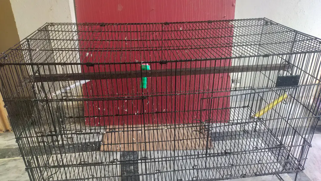 Parrots cage — photo 9