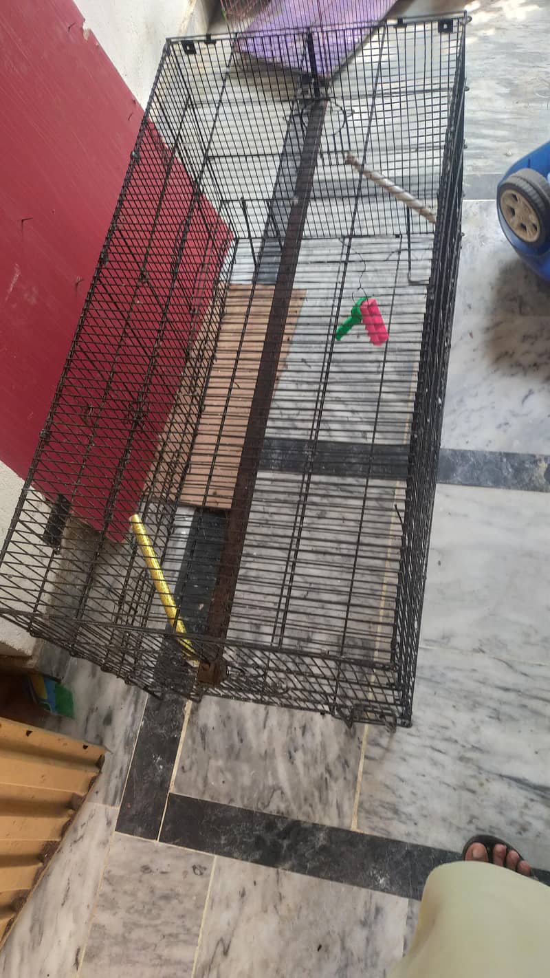 Parrots cage 9