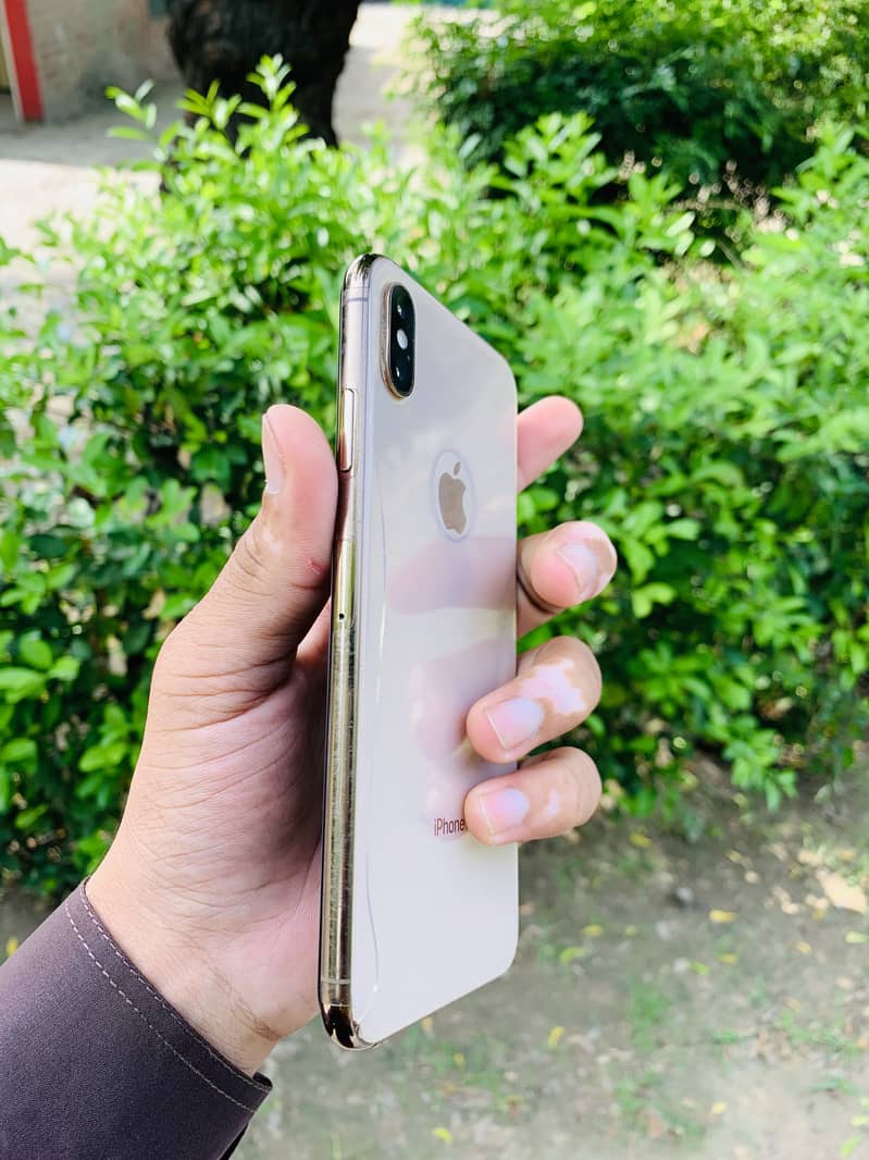 Apple iPhone XS Max 2