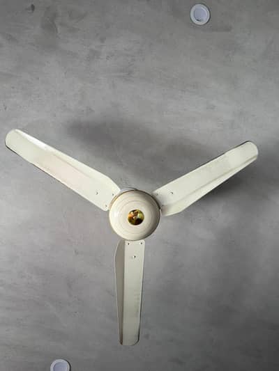 Ceiling Fan for Sale – Like New | Only 15 Days Used