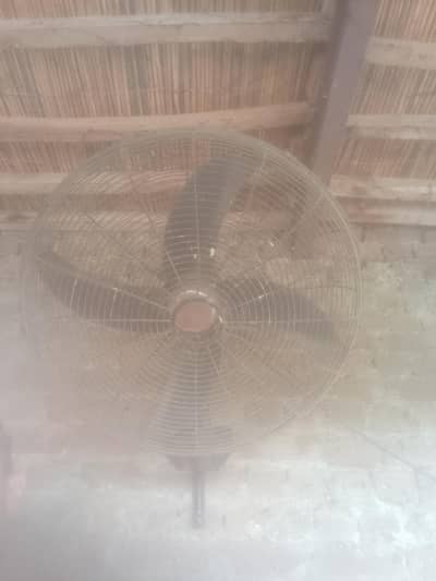 sela fan