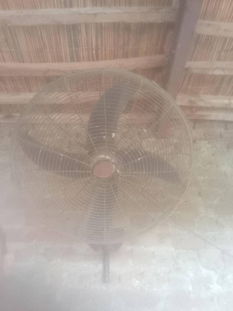 sela fan 0