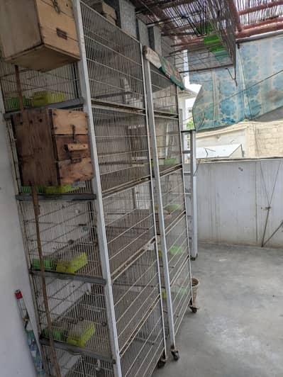 5 portion heavy angle cages available.