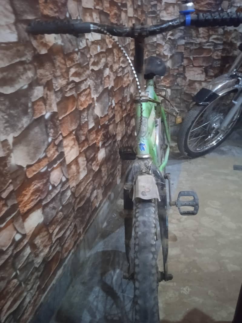 V8 great cycle 2