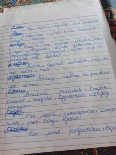 Writing job