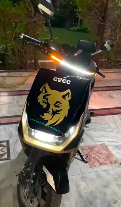 evee genz 2026