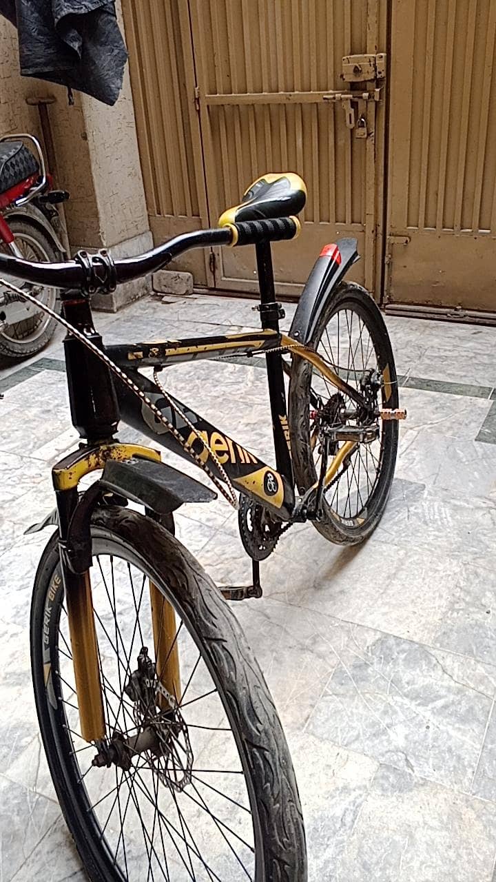 Foreign Gerik cycle 3