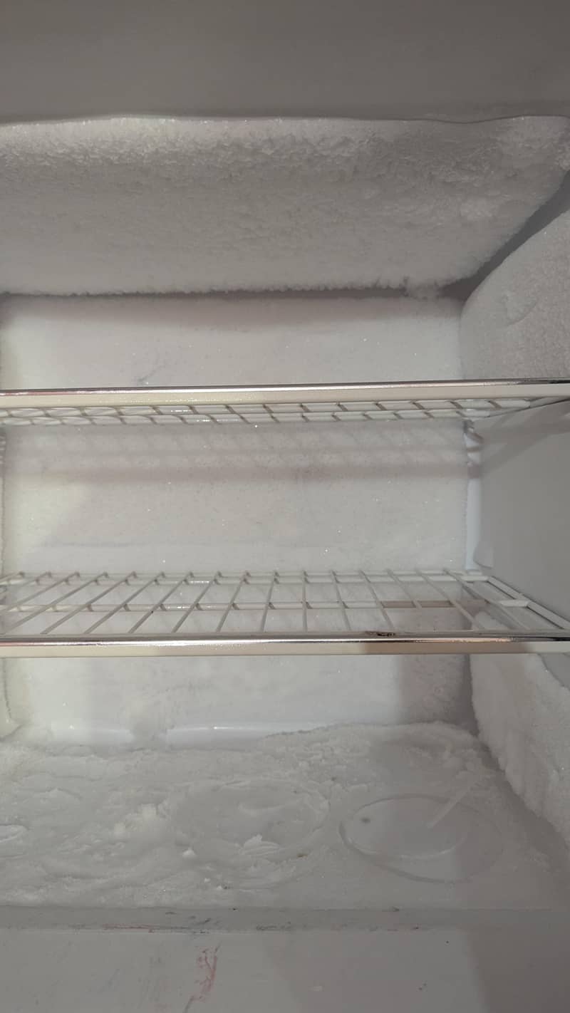 Haier Refrigerator 1