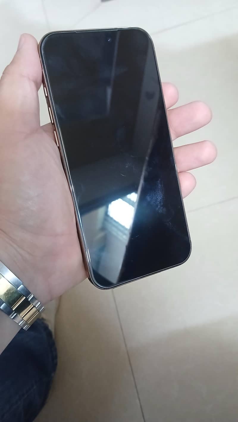 Apple iPhone 16 Pro Max 1