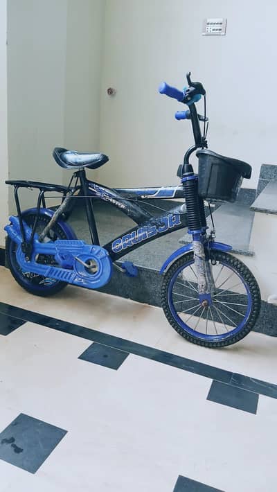 Bicycle for kids