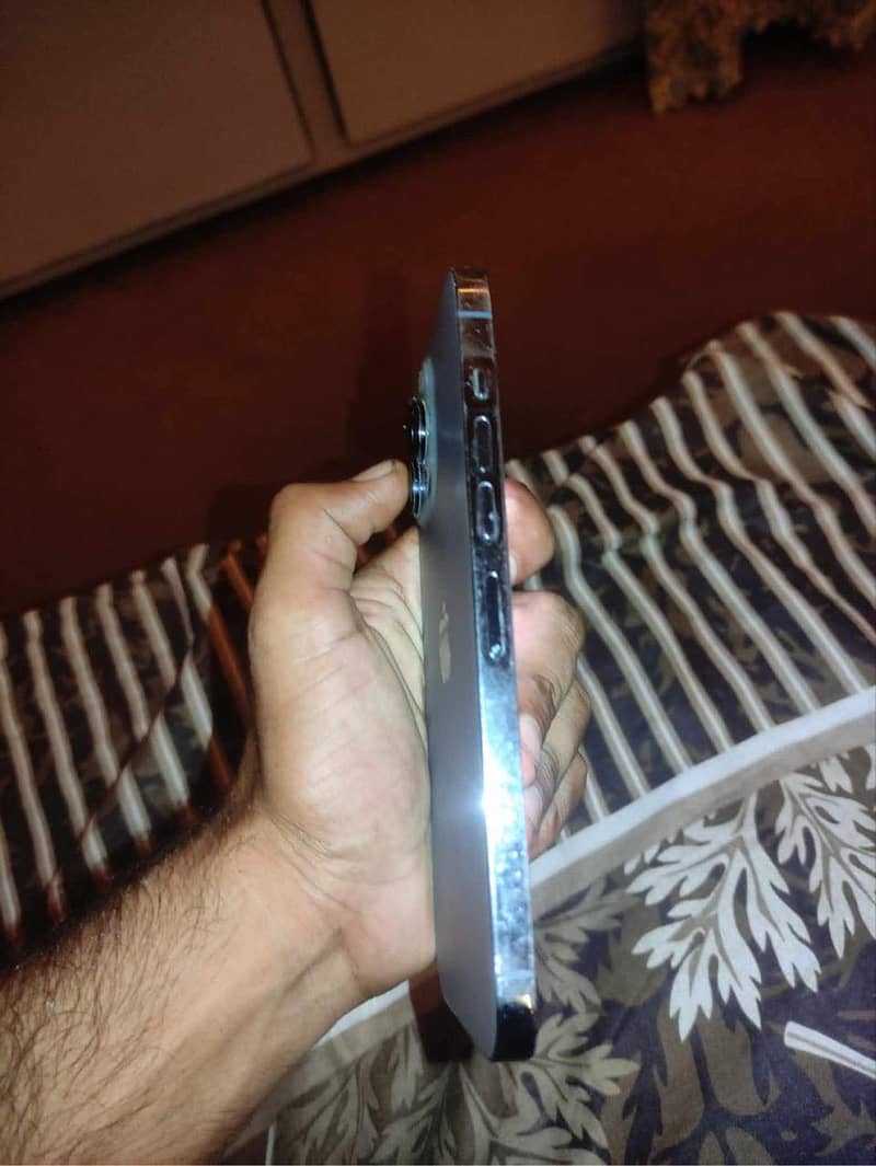 Apple iPhone 13 Pro Max 1