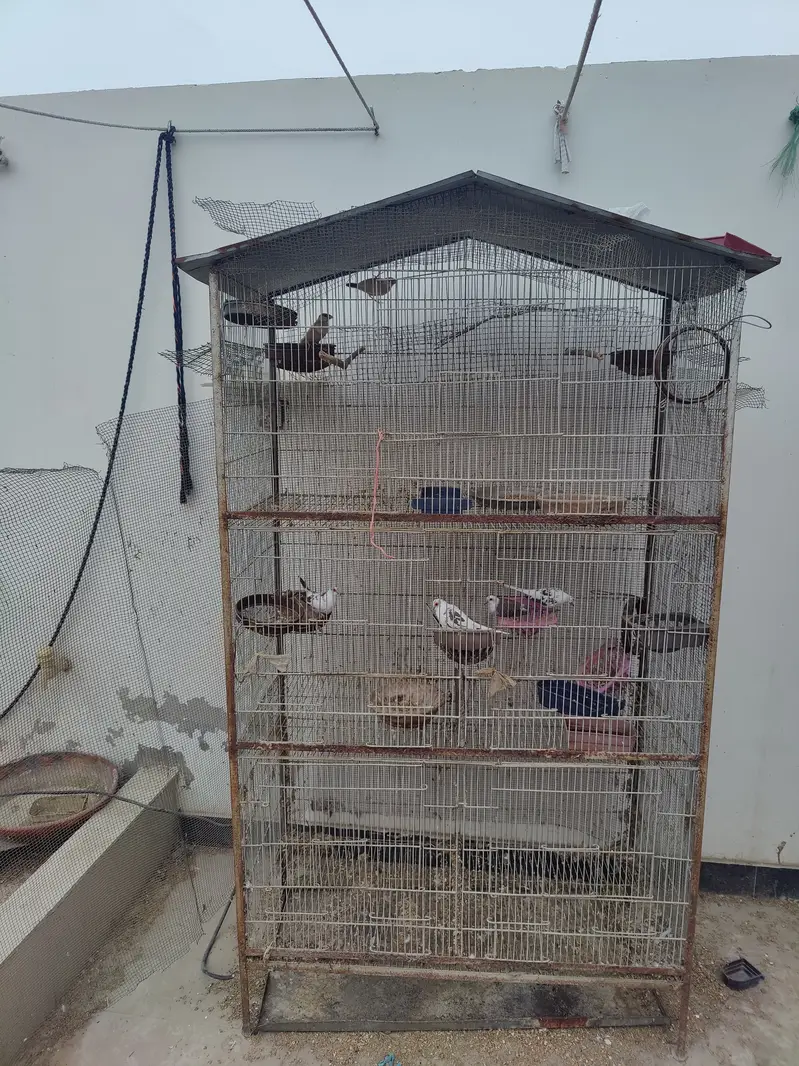 5 portion cage — photo 2