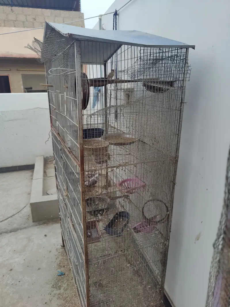 5 portion cage — photo 3