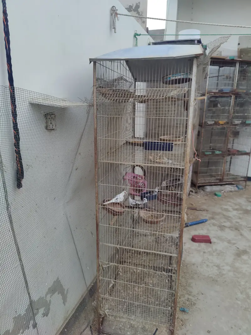 5 portion cage — photo 4