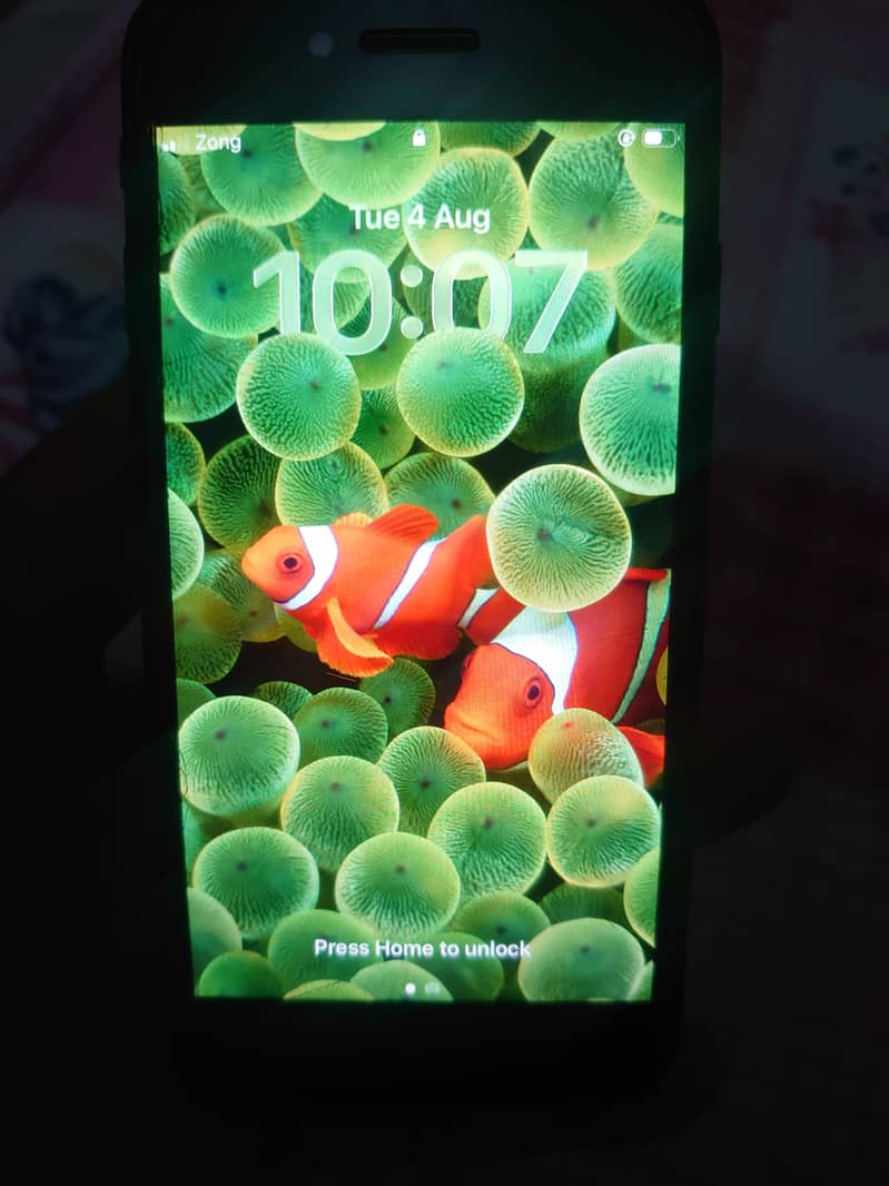 Apple iPhone SE 4