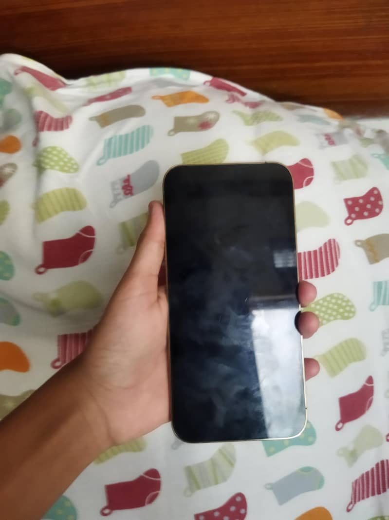 Apple iPhone 12 Pro Max 1