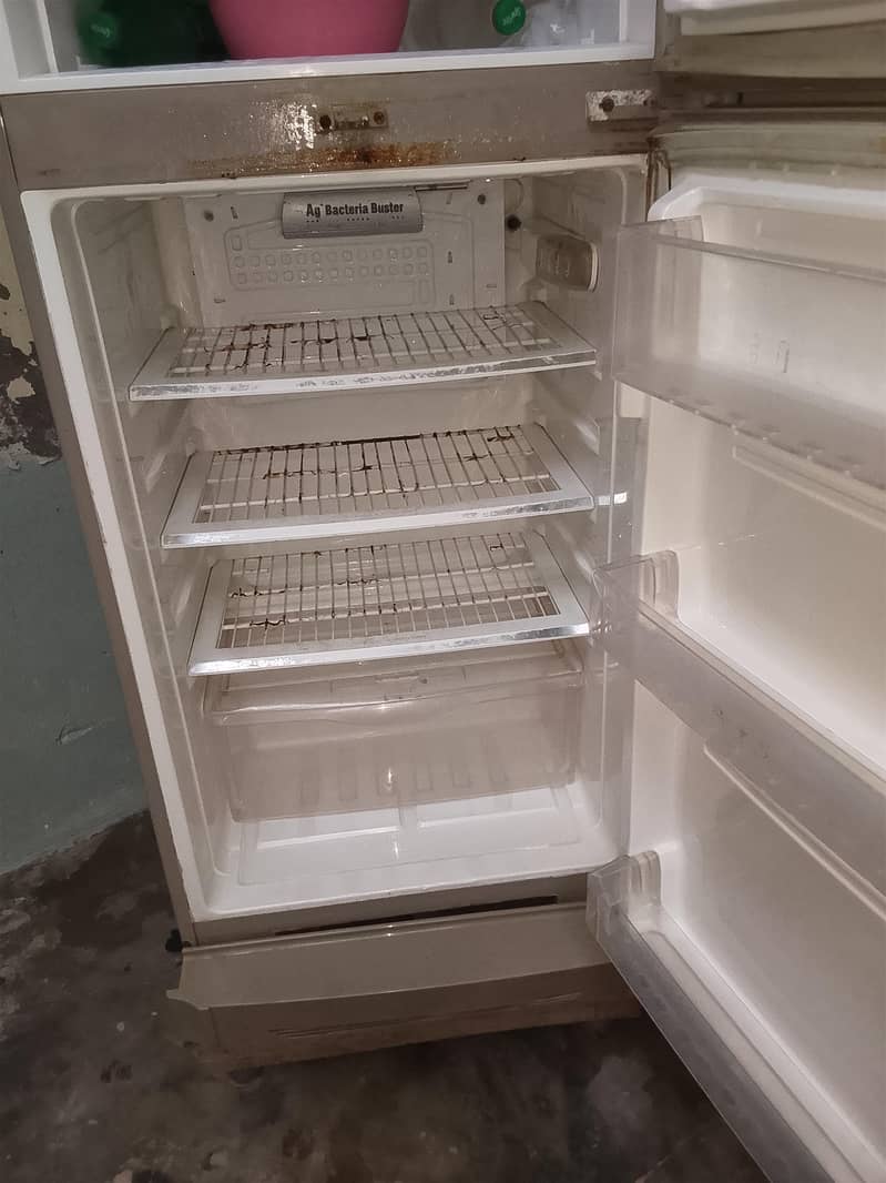 PEL Refrigerator 2