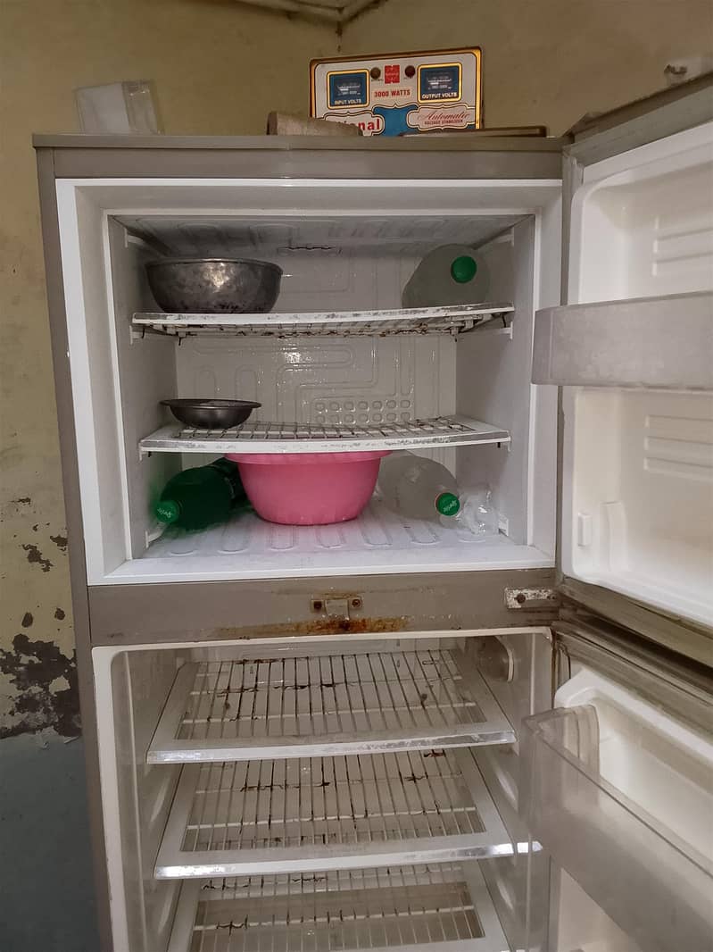 PEL Refrigerator 3