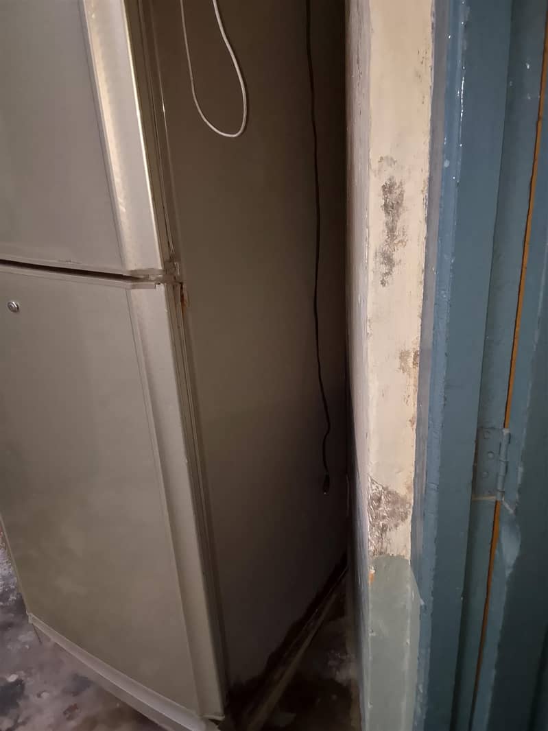 PEL Refrigerator 4