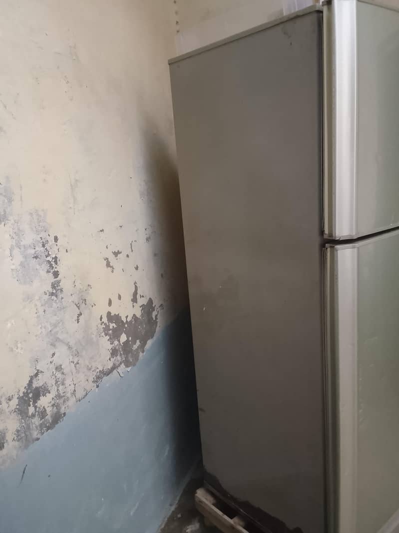PEL Refrigerator 5