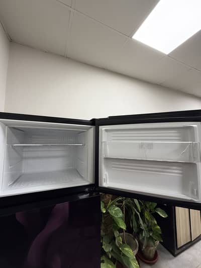 Pel fridge 2020
