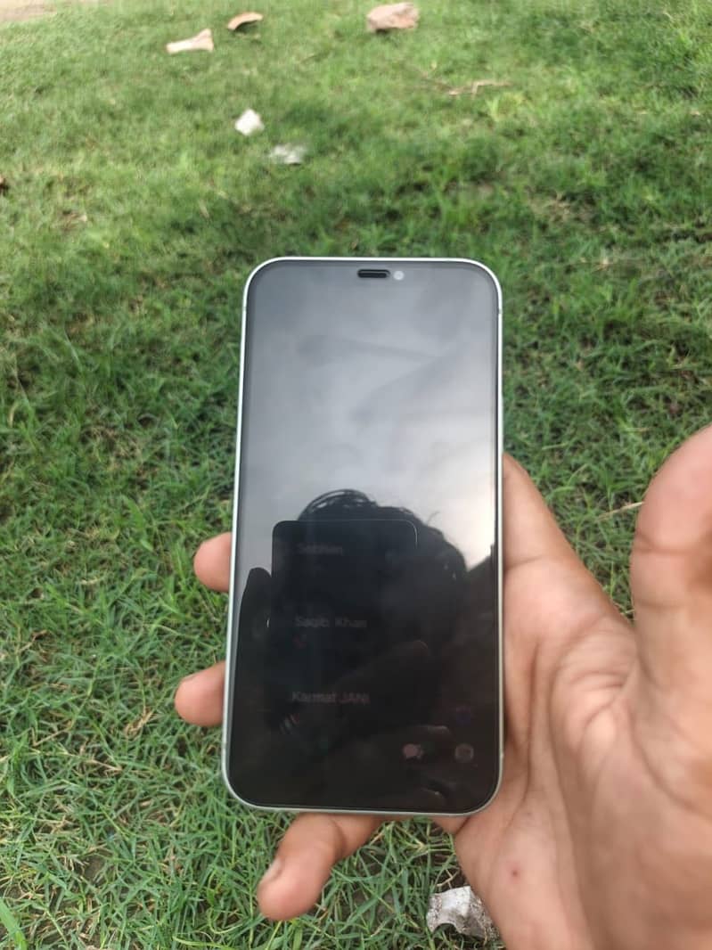 Apple iPhone 12 1