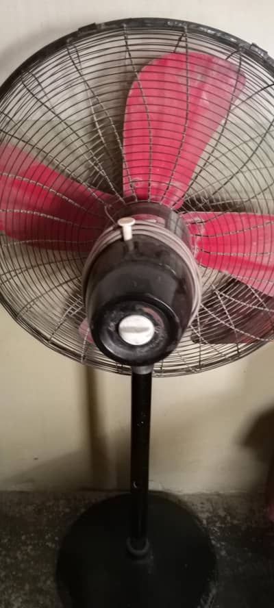24 inch copper wire stand fan tez hawa Excellent working