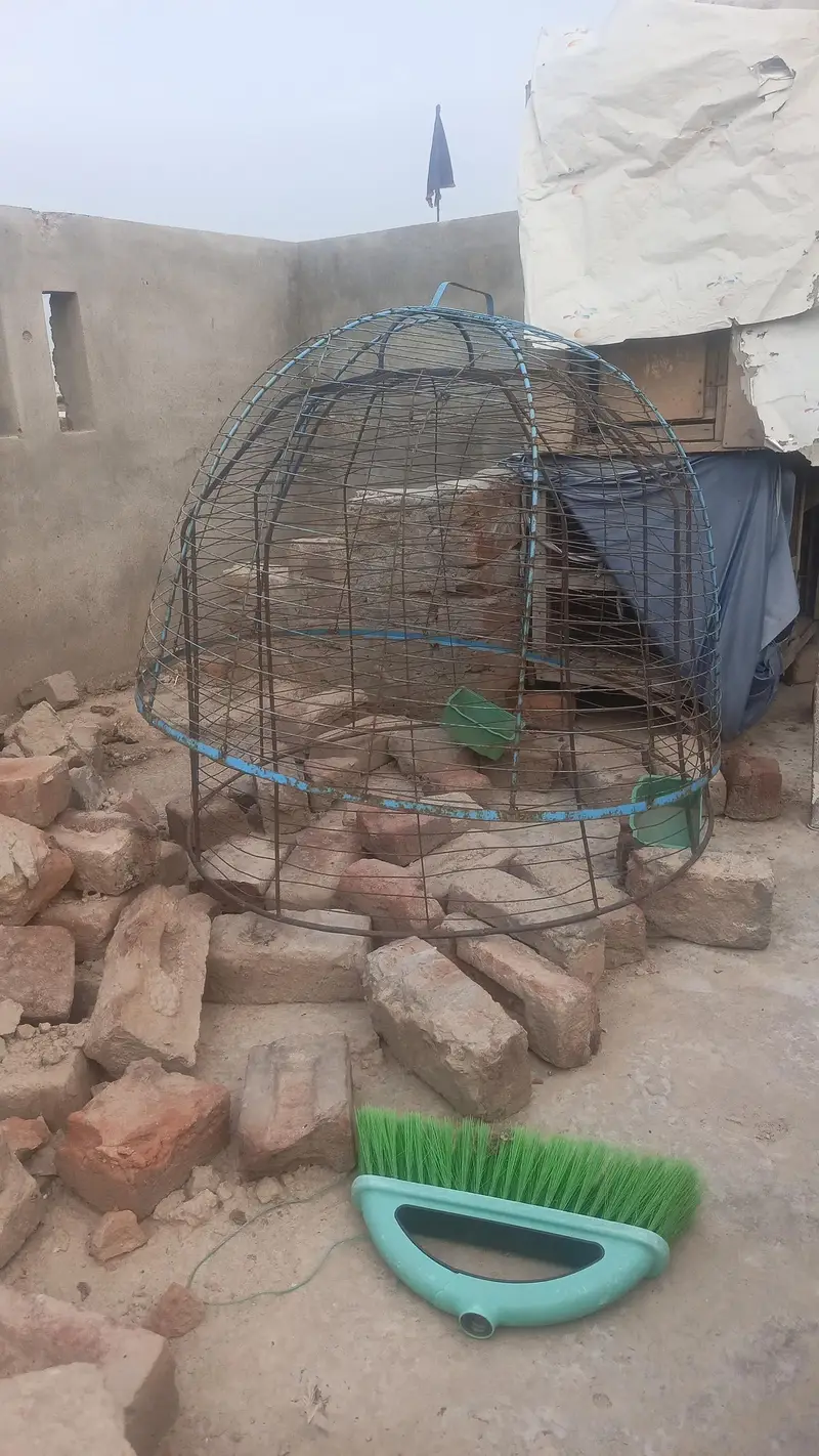 uzd ha fanil 3000 — photo 2