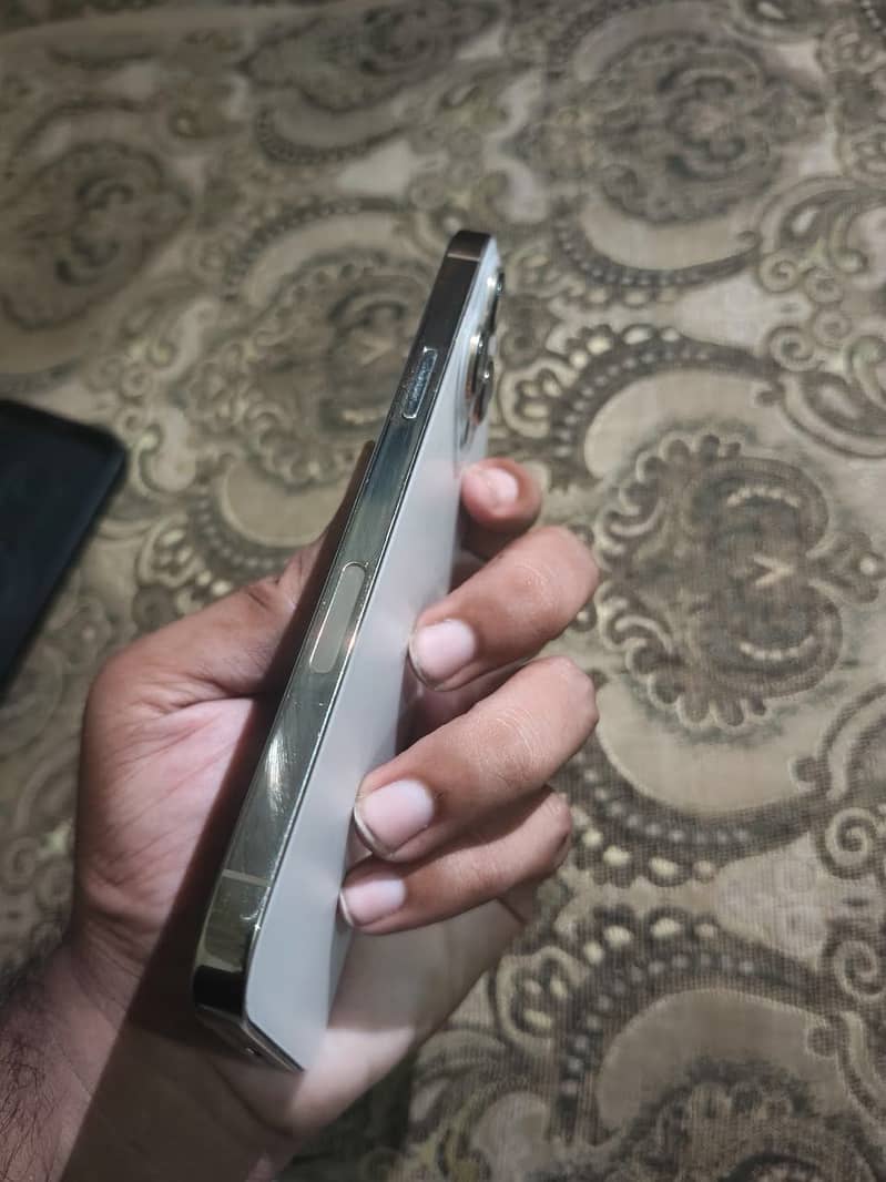 Apple iPhone 13 Pro Max 1