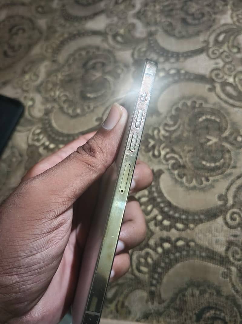 Apple iPhone 13 Pro Max 3
