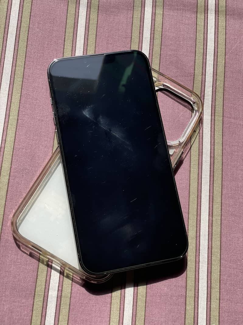 Apple iPhone 13 Pro Max 1