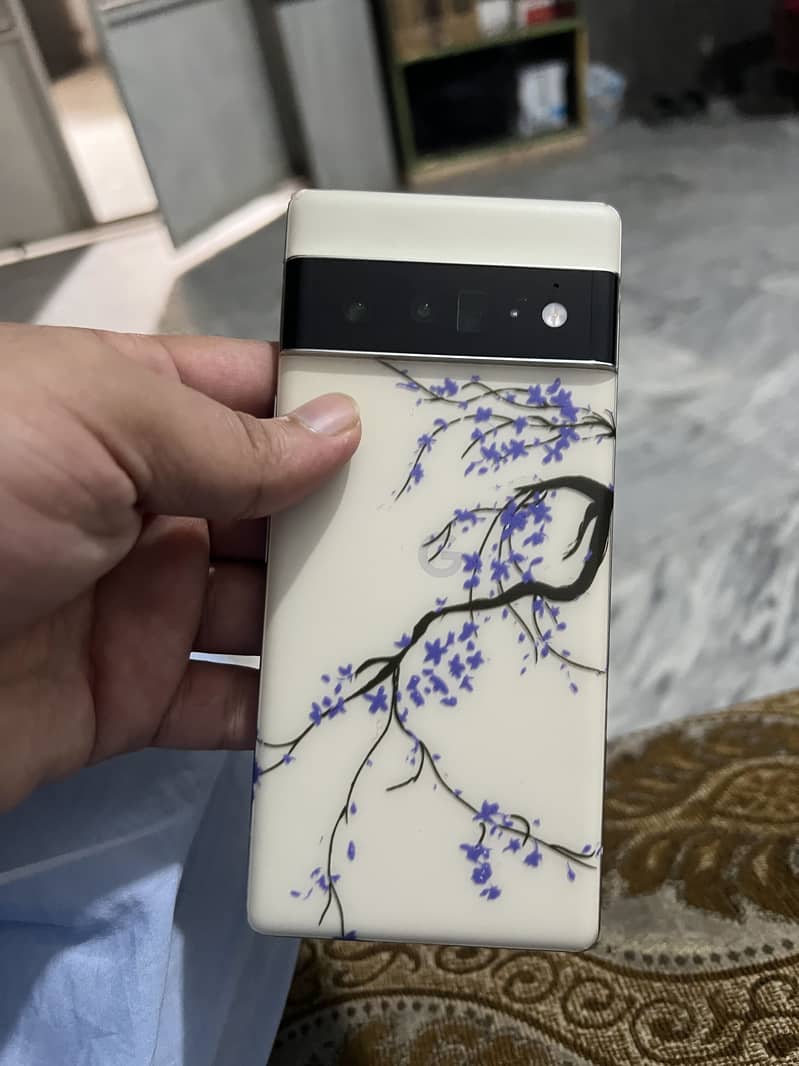 Google Pixel 6 Pro 2