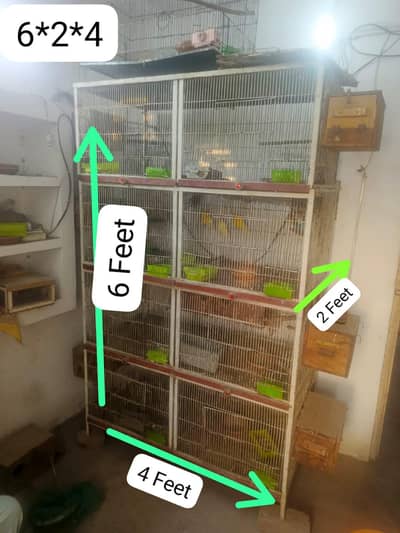 bird cage