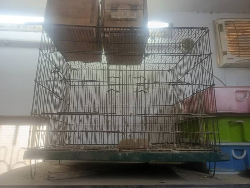 bird cage 9
