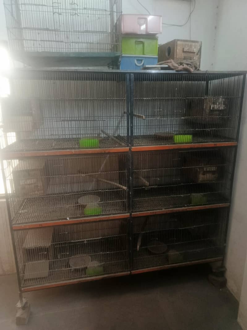 bird cage 10