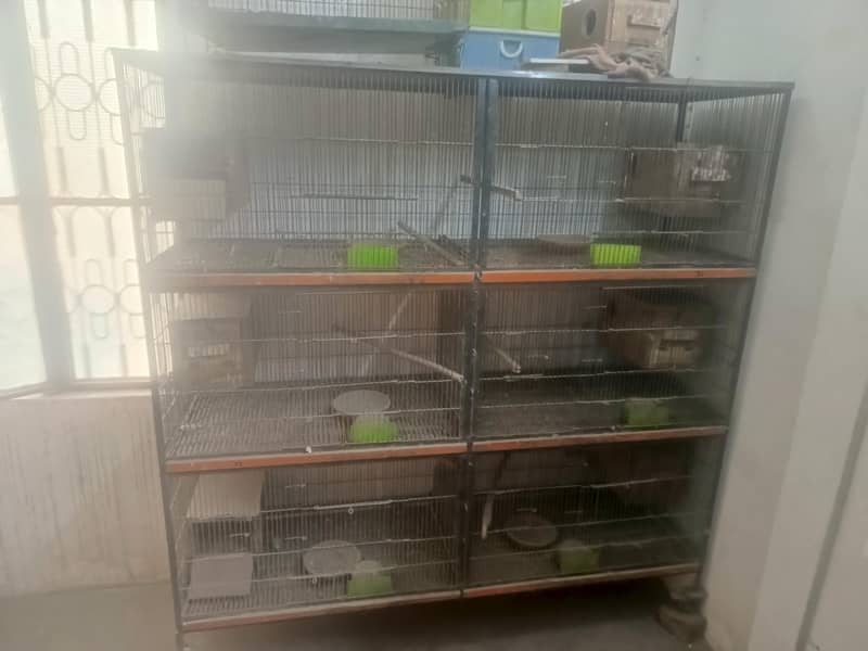 bird cage 11
