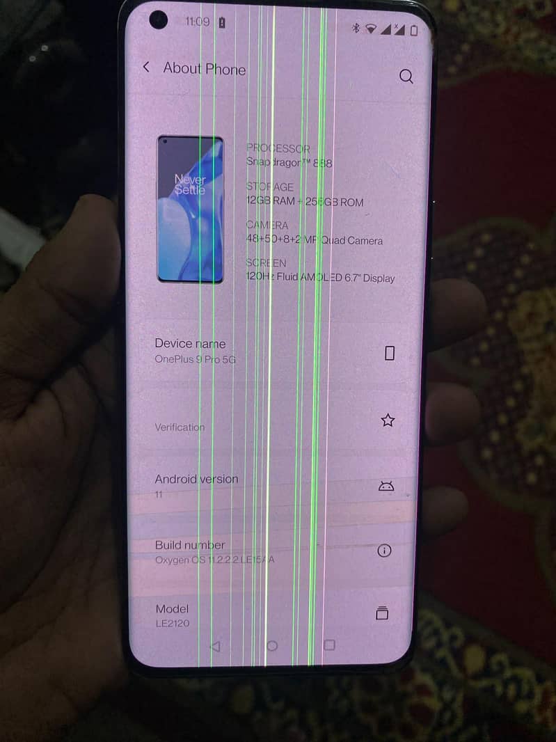 One plus 9 pro 2