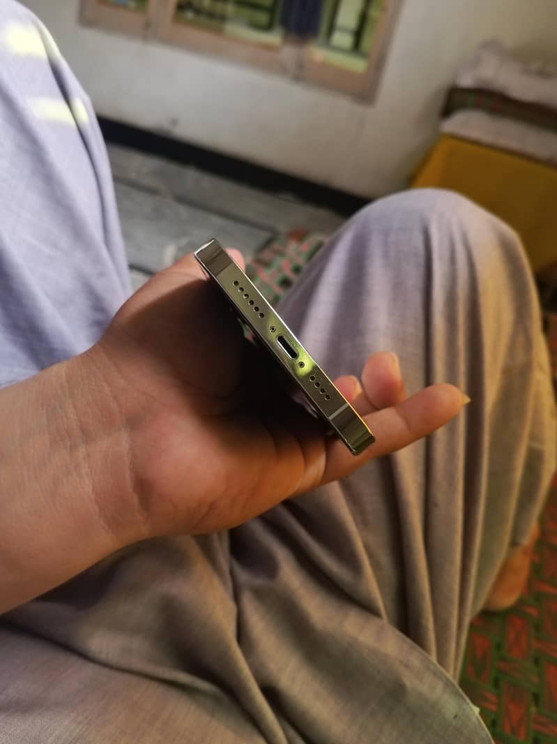Apple iPhone 14 Pro Max 6