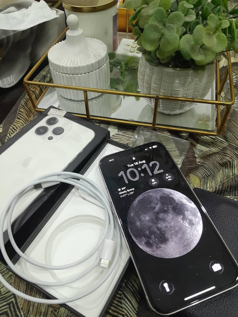 Apple iPhone 13 Pro 1