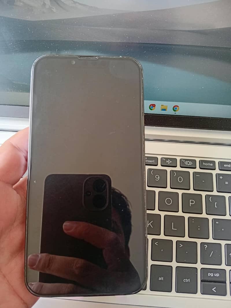 Apple iPhone 13 Pro 12