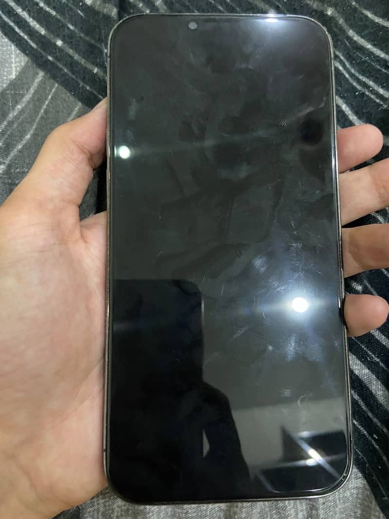 Apple iPhone 13 Pro Max 0